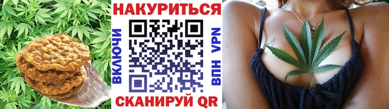 mega зеркало  Новошахтинск  Еда ТГК марихуана  даркнет сайт 