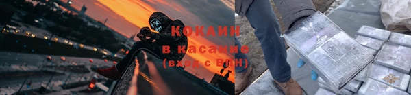 стафф Алзамай