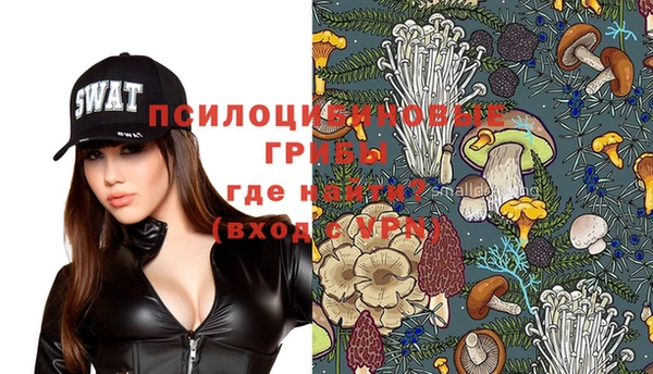 хмурый Алексеевка