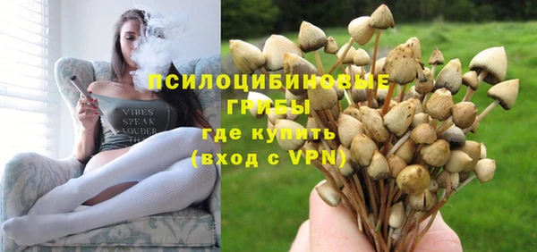 хмурый Алексеевка