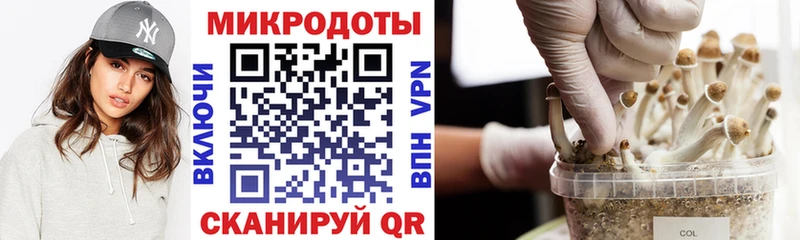Псилоцибиновые грибы мухоморы  Новошахтинск 